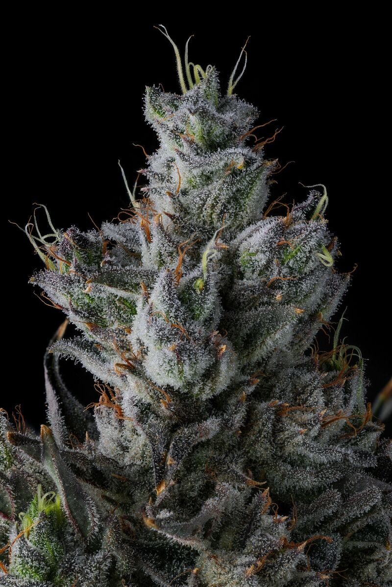 Guwop Green, Фасовка: 3, изображение 3